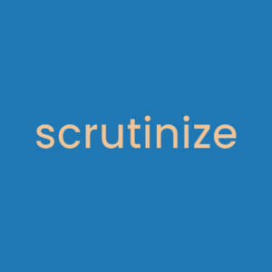 Scrutinize - logo